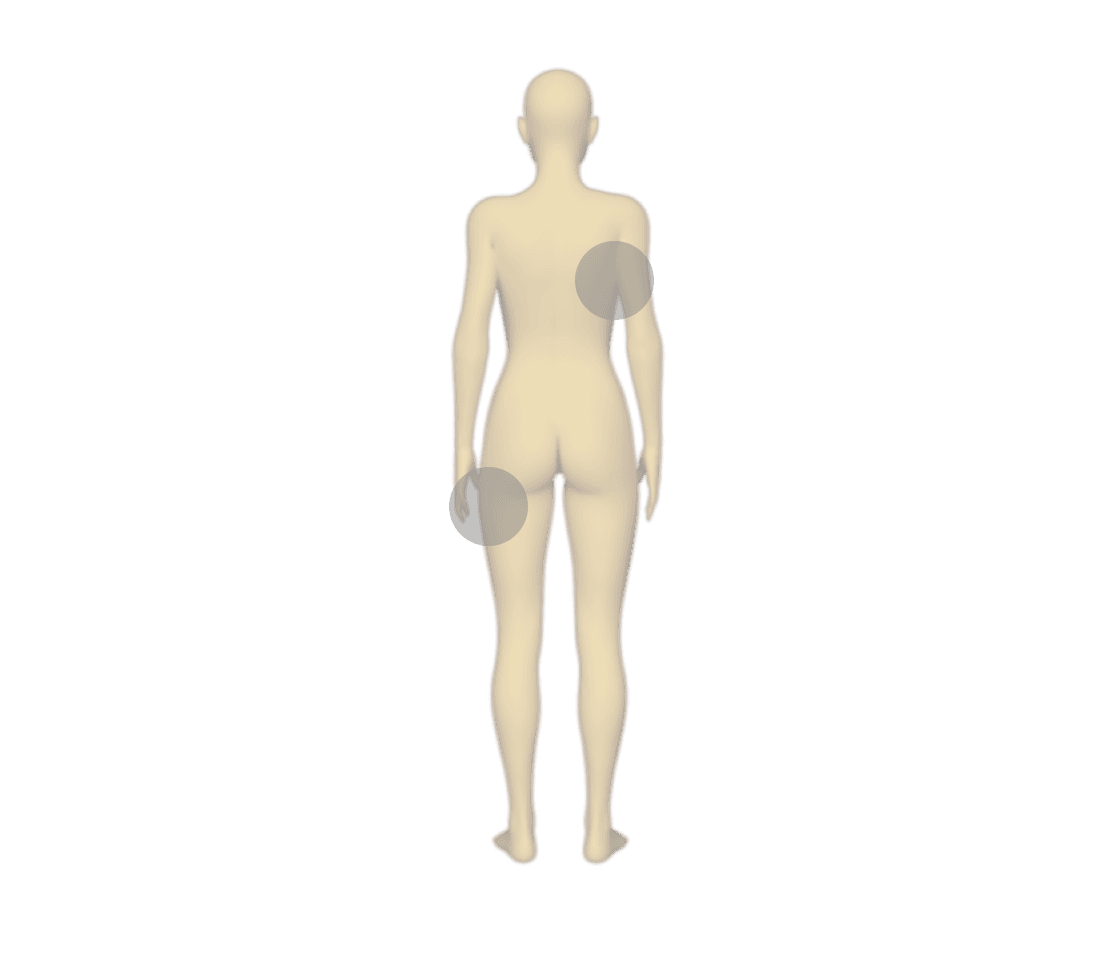 Body Back View