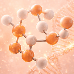 Jeunetique NAD+ mechanism of action